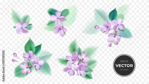 Delicate lilac flowers with soft green leaves showcasing a serene floral design.