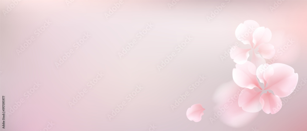 Fototapeta premium Delicate pink blossoms gently floating against a soft pastel background.