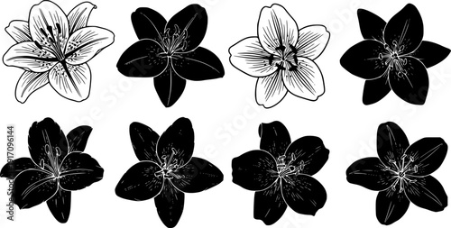 Beautiful lily flower silhouette illustrations in black vector style, botanical floral collection for elegant design, wedding decor, spring nature artwork, and logo templates 