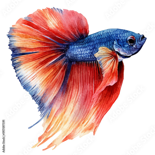 Flying Fish, watercolor with intricate brush textures and gentle highlights, isolated on a white background.