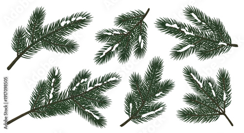 Set of 7 pine tree branches vector