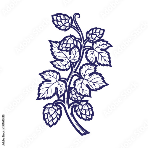Grunge texture A drawing of a hop plant with leaves and cones on white background  hops are used in beer brewing Vintage Style