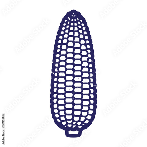 Grunge texture blue illustration of an ear of corn on white background Vintage Style