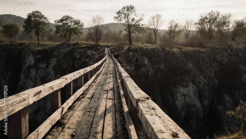 Wooden bridge over a canyon with trees in the background, scenic view.