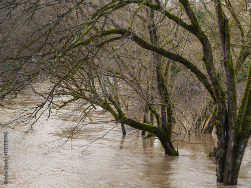 Bild auf Leinwand Crue de la rivière La Midouze, à proximité de Mont-de-Marsan, suite à la tempête