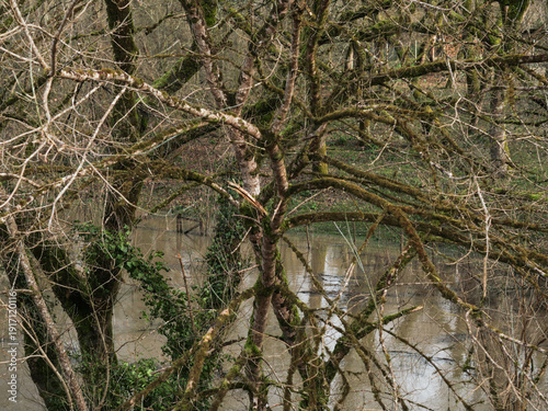 Foto Crue de la rivière La Midouze, à proximité de Mont-de-Marsan, suite à la tempête