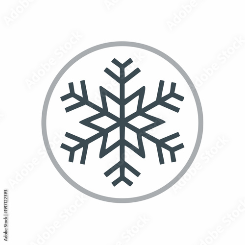 Elegant view of a stylized snowflake centered within a white circle, showcasing symmetry gray design with intricate branching arms, captured from a frontal perspective for an icon illustration