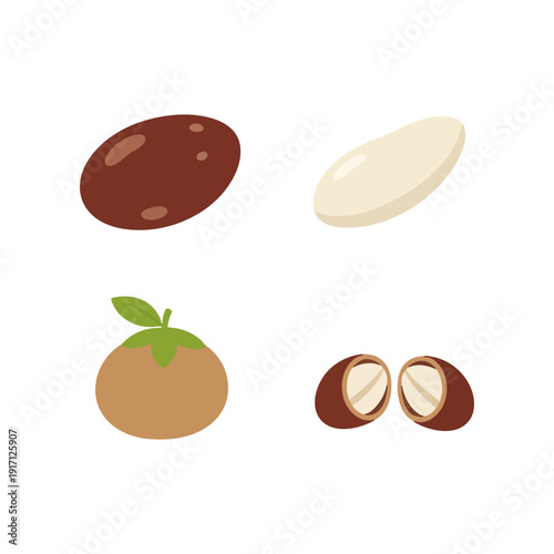 Set of almond nuts and kernels vector illustration for healthy snack icon.