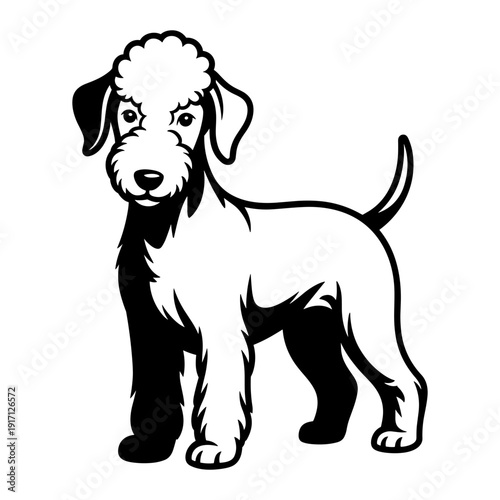 Bedlington Terrier Dog