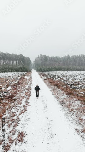 A woman in dark winter clothes walks away from the camera on a snow-covered dirt road toward a pine forest. Vertical bird's eye view from a drone in Barycz Valley, Poland.