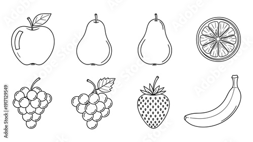 A set of various fruit icons in line art style