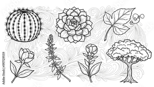 Black and white illustration of various plants and flowers