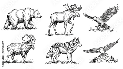 A black and white illustration of various wild animals including a bear, moose, eagle, bighorn sheep, wolf, and another eagle