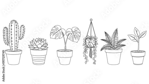 Black and white line drawing of various potted plants