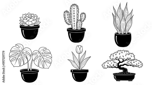 Black and white illustration of various potted plants