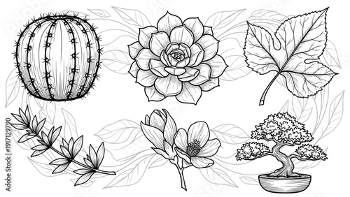 Black and white illustration of various plants and flowers