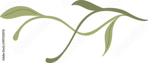 Vine Flourish Divider Art Nouveau