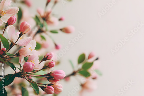 やさしい春の花芽とコピースペースのある自然背景｜Spring botanical background with delicate flower buds and soft copy space