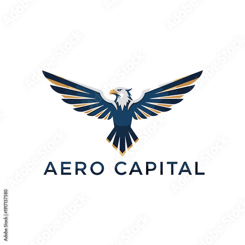 Modern stylized eagle logo in blue and gold with Aero Capital text