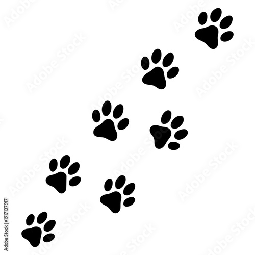 Minimalist animal paw prints in a simple composition