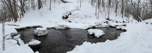 Paysage d'hiver avec une petite rivière en forêt. Panorama.