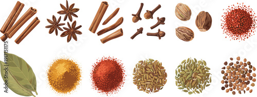 Assorted spices and herbs vector illustration set with cinnamon, star anise, cloves, nutmeg, bay leaves, turmeric, chili powder and seeds