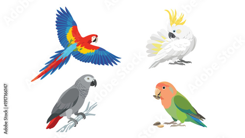 Vibrant Exotic Parrots Collection Illustration Set