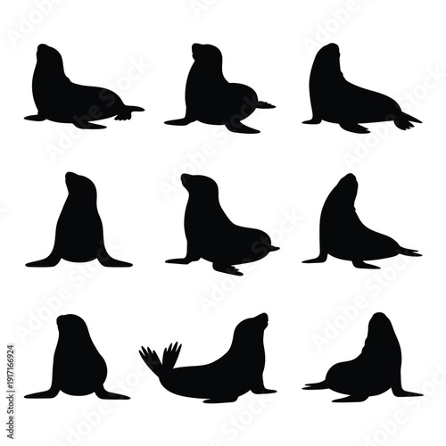 Nine black silhouettes of seals in various resting and playful poses