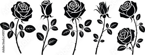CAD drawing flat vector illustration, rose flower silhouette collection, floral design elements, black and white artwork, botanical concept, decorative bloom graphic