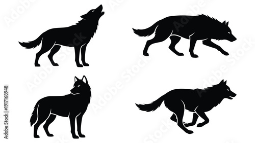 Collection of Black Wolf Silhouettes in Dynamic Poses: Howling, Running, Stalking, Standing. Wild Canine Vector Icons.