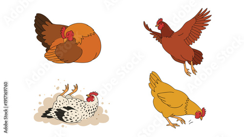 Cartoon Chickens Collection: Hens Flying, Dust Bathing, Pecking, and Resting Illustrations