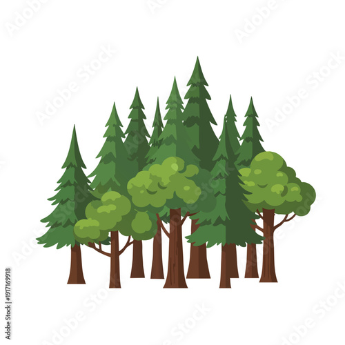 Cluster of Pine and Deciduous Trees