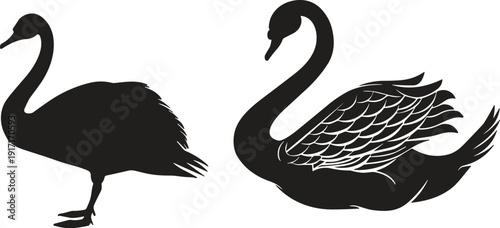 Black swan silhouette set, elegant water bird collection, isolated wildlife icon, graceful lake animal illustration, flat vector design