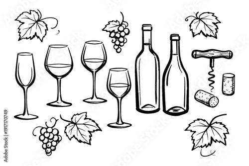 Wine bottles and glasses with grapes and corkscrew illustration
