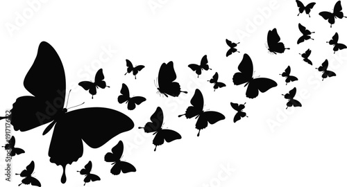 Flying butterfly silhouettes forming dynamic swarm pattern, black vector illustration symbolizing freedom, transformation, nature beauty, abstract motion design isolated on white background