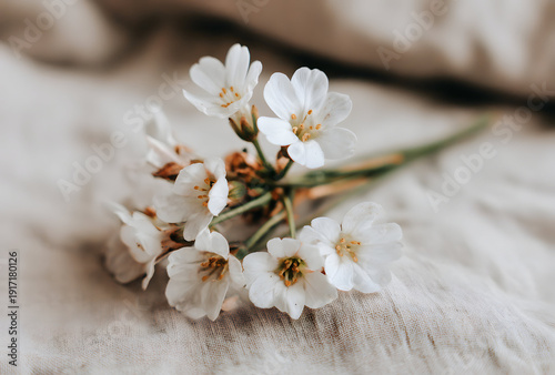 Delicate White Blossoms on Textured Fabric A Study in Floral Elegance.