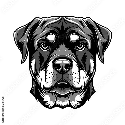 Rottweiler Dog Head Portrait, Powerful Breed, Loyal Companion, Black and White Illustration