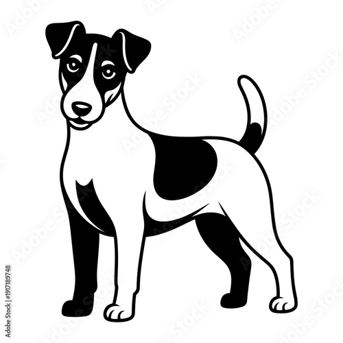 Smooth Fox Terrier