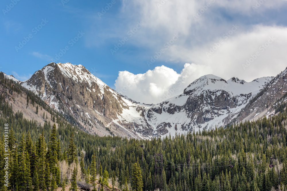 Εκτύπωση καμβά Snow-Capped Peaks and Evergreen Forests, Colorado Mountains