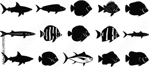Fish Silhouette Collection Marine Sea Life Ocean Animal Vector Illustration Set Isolated on White