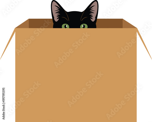 Cartoon illustration of black cat peeking playfully from cardboard box, symbolizing curiosity, pets, humor, and cute animal behavior in creative design concept