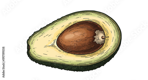 Half Avocado with Seed, Fresh Fruit Illustration, Healthy Food