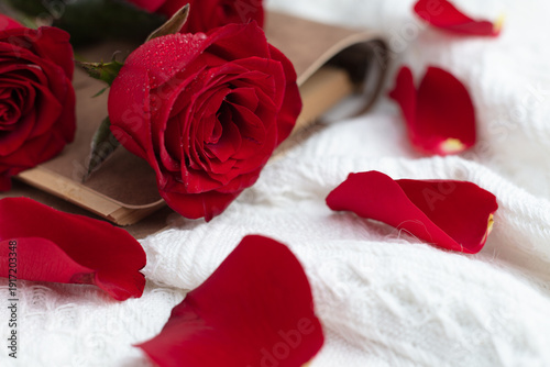 red roses