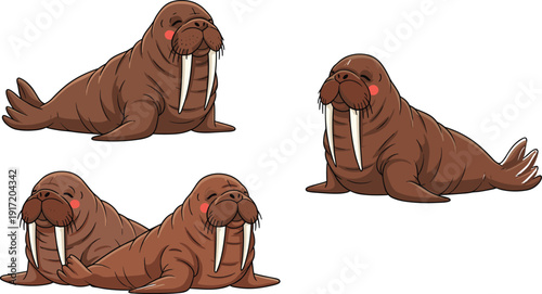 Cute walrus cartoon character collection marine animal vector illustration wildlife ocean mammal design set isolated