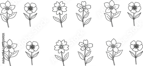 Hand drawn simple flower outline collection minimal floral line art vector illustration botanical design elements set