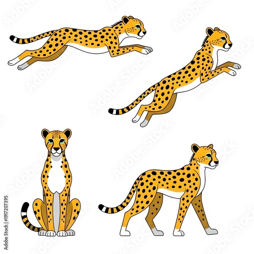 set of cheetah vector
