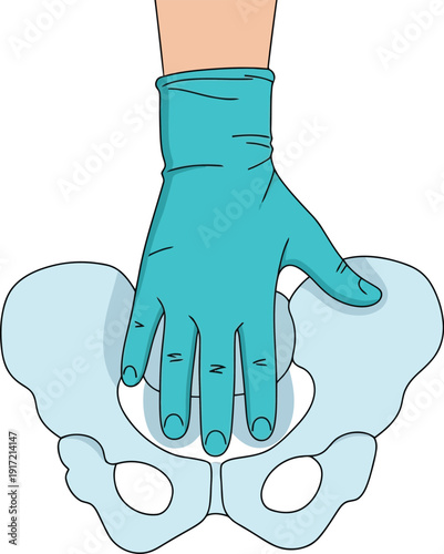 Gloved hand demonstrating pelvic examination for gynecological health and obstetrics checkup vector