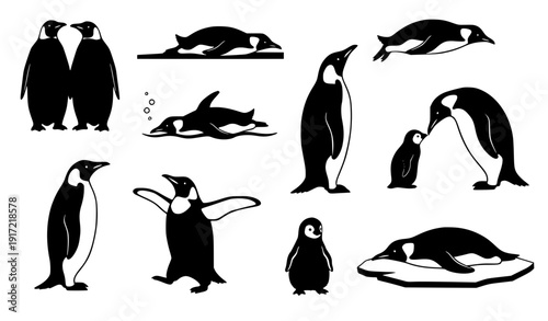 Cute penguin family and swimming orca vector illustration flat design set