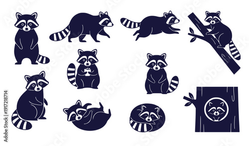Set of raccoons in various poses and activities, dark blue vector illustration