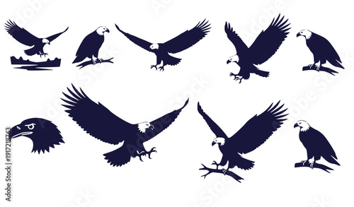 Majestic Eagle Silhouettes Collection, Flat Design Vector Illustration